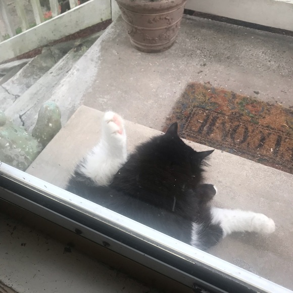 PRICELESS - Picture 3 of 7